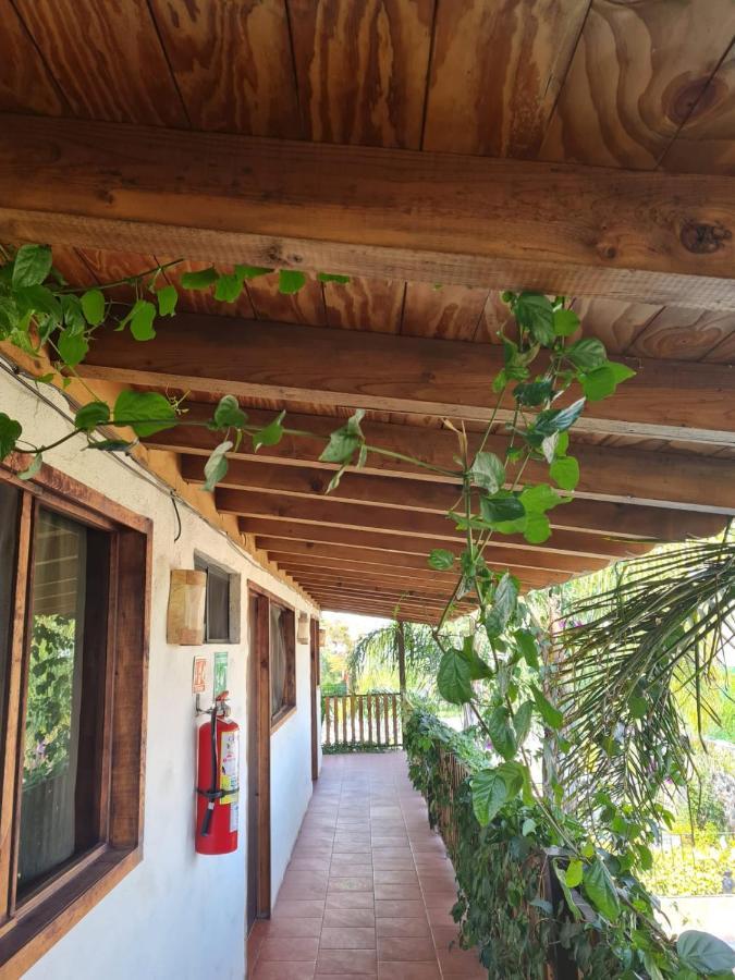Hotel Villas Mariposas أتليكسكو المظهر الخارجي الصورة