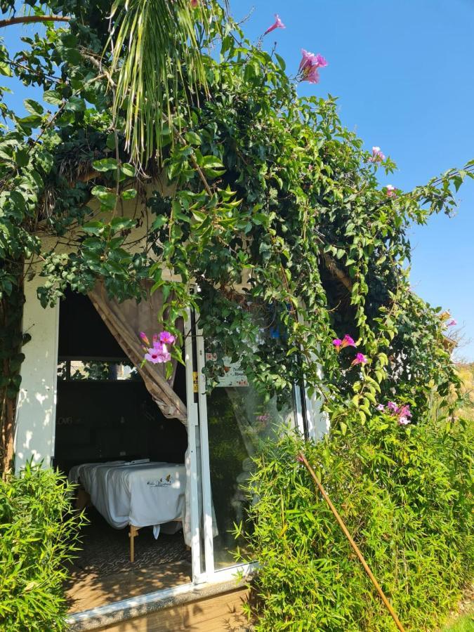 Hotel Villas Mariposas أتليكسكو المظهر الخارجي الصورة